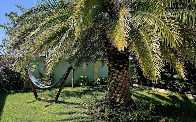 Dachis Villa