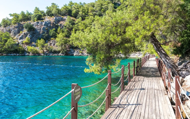Hillside Beach Club