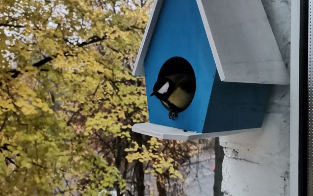 Квартира Белочка