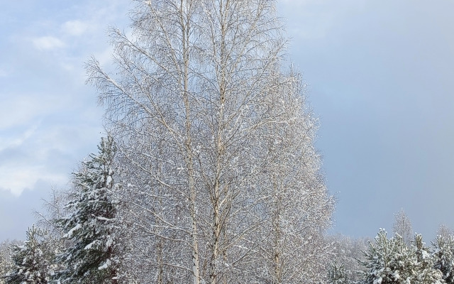 Частный дом Загородный Дыхание