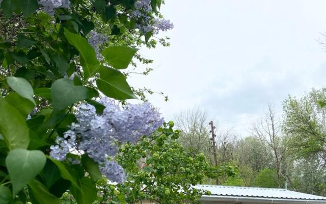 База отдыха Домик в Лотосах