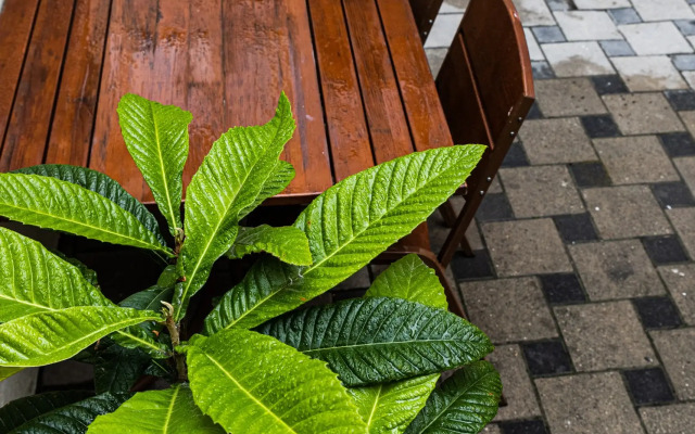 Гостевой дом Маис