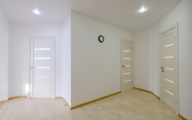 Apartamenty Petrovskie na Sovetskoj 90 (2)