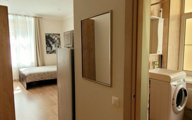 Квартира - студия в иcтoричeскoм цeнтре Санкт-Пeтеpбургa (4)