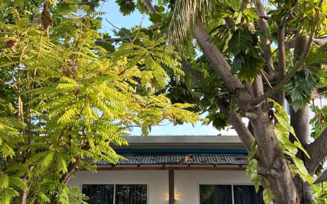 Navaya Dhiffushi Guest house