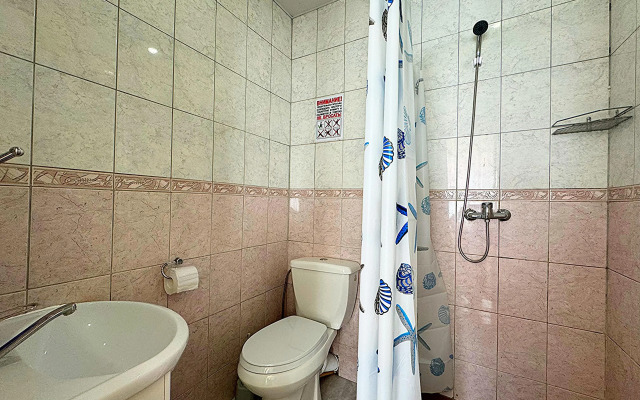 Guest house Visteriya