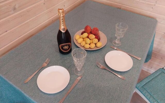 Частный дом в 1-м Академическом переулке 9