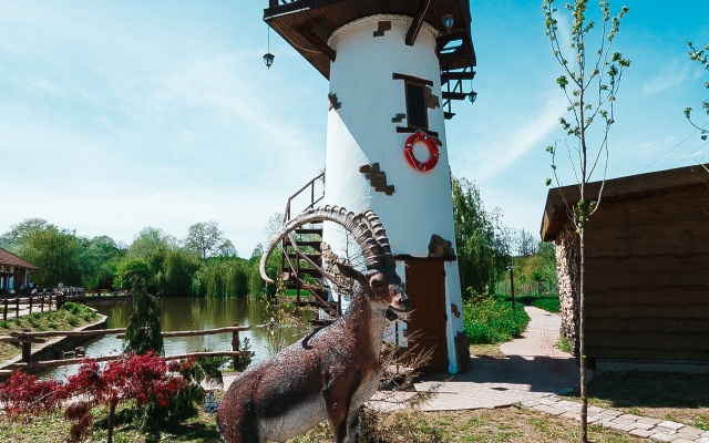 Zagorodny klub Kura-Tsetse Hotel
