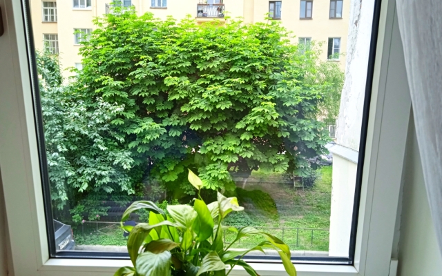 Rizhskij 32b Flat