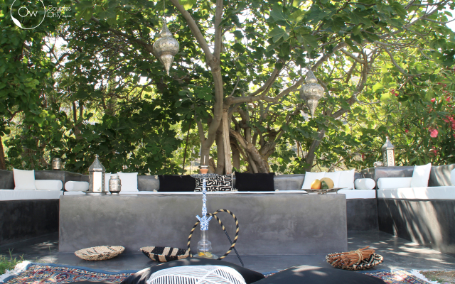 Ow Andros Luxury Suites Villa