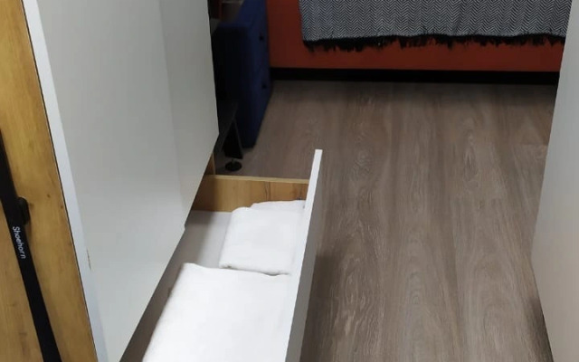 Апартаменты Студия на Грайвороновской