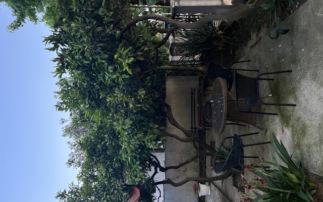 "u Fialy" Guest House