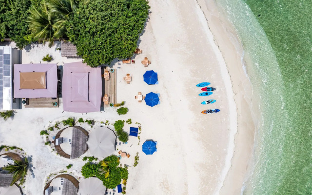 The Maverick Surf and Dive Resort