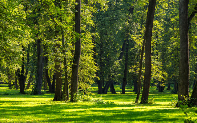 Volynskoye Congress Park