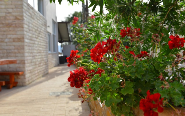 Korali Apart-Hotel