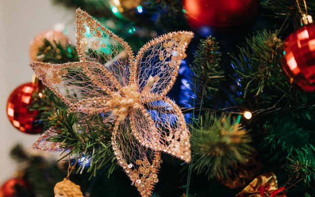 Гостиница SADU Москва, участник Radisson Individuals