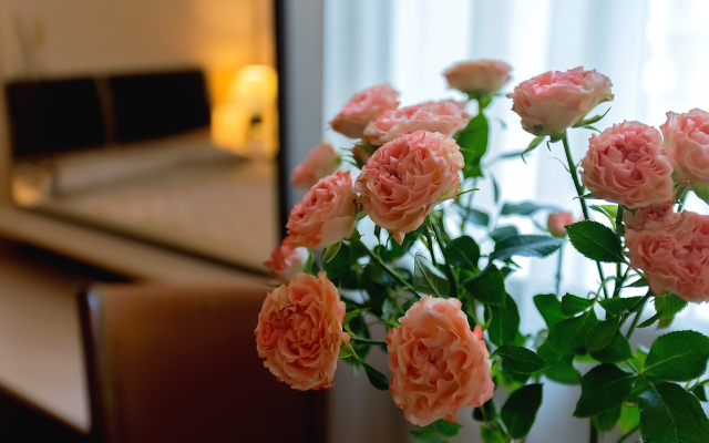 Меблированные комнаты Комфорт Сити