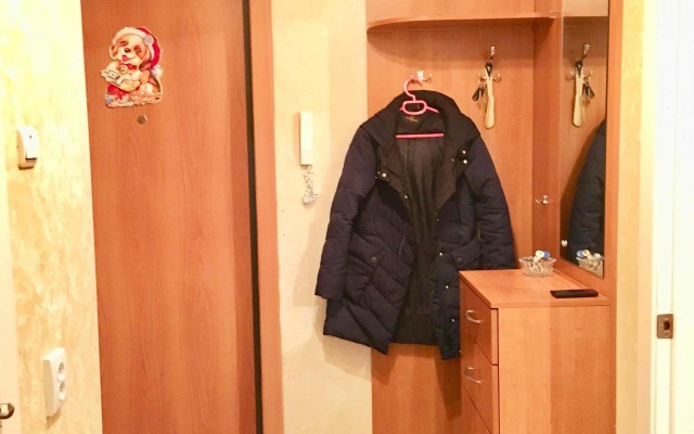 1-komnatnaya ryadom s aeroportom i j/d vokzalom Flat