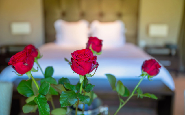 Отель Ligaro - Jarnac