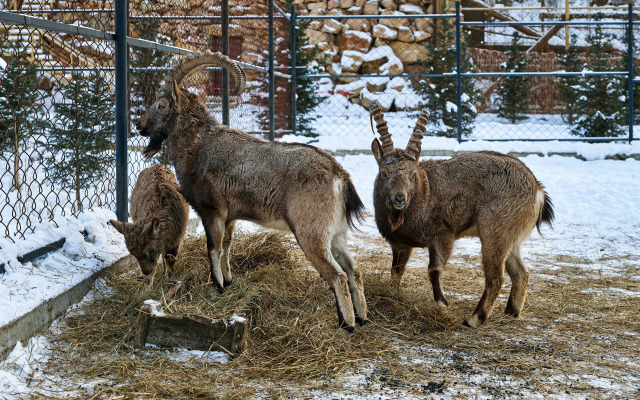 Отель Карым-Муны