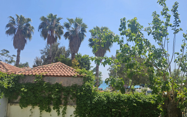 Apartamenty u Morya Private House