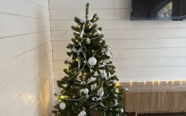 Частный дом в лесу