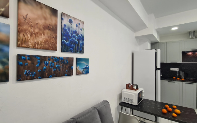 Vozle Plyazha Flat