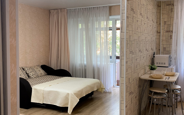 Апартаменты Квартира у ДС Торпедо на Чкалова