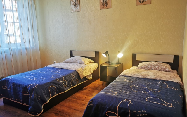 V Zelenogradske Na Potemkina Apartments