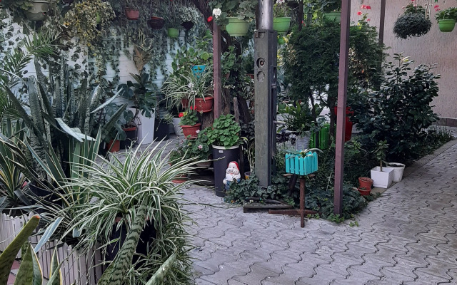 Tenisty Dvorik Guest House