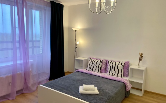 Studiya Zelenaya v Pesochnom flat