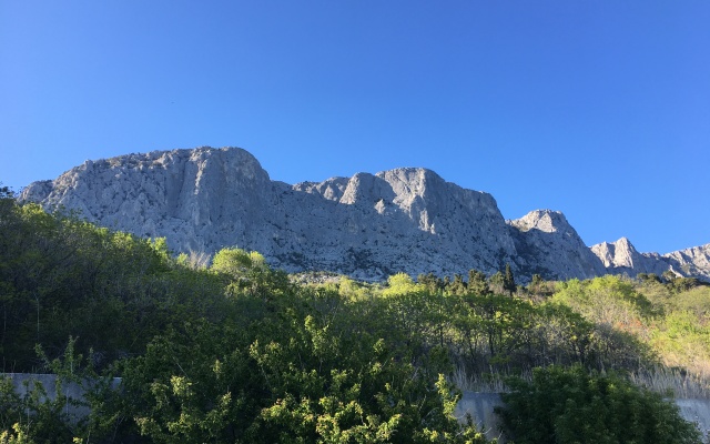 Forosskiy Bereg Apartments