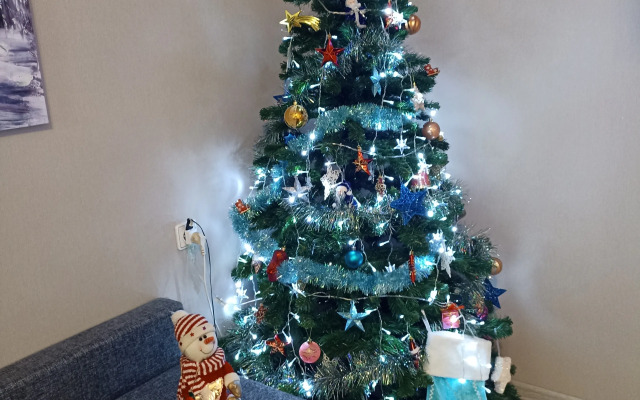 Апартаменты Zvezdnaya