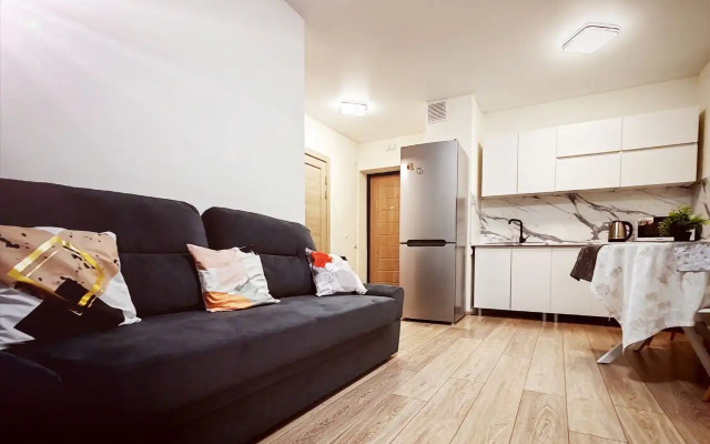 Квартира Уютная 1к