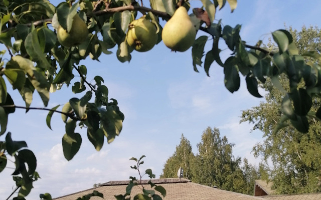Okulova Zaimka Guest House