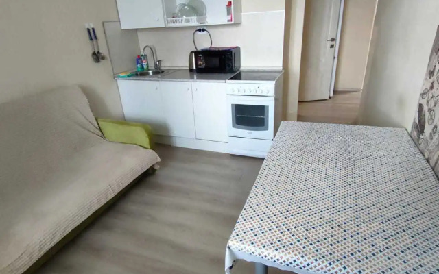 Gagarina 62/868 Apartments