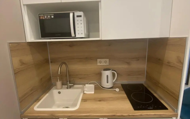 Samotsvet V Tsentre Na Sadovoy Apartments