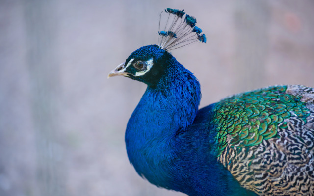 Отель Комплекc Загородного отдыха  Место 7