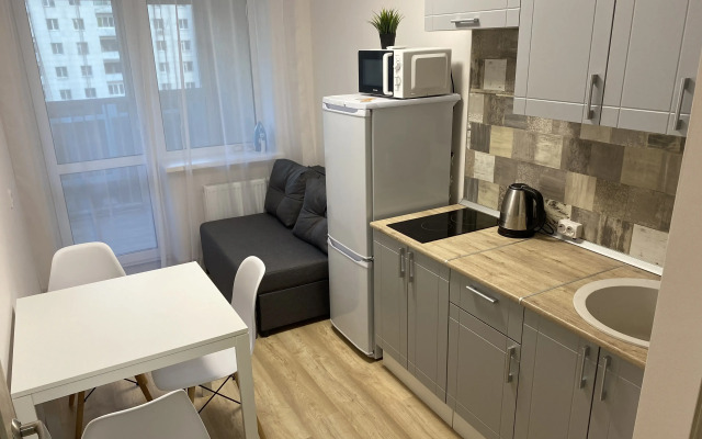 Апартаменты DreamHouse на Спутников