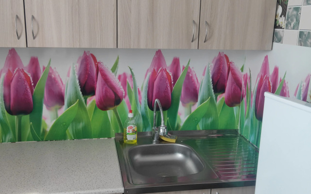 Квартира Однушка