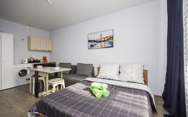 Апартаменты Лукино 53А