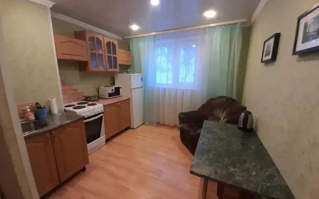 Апартаменты с 1 комнатой с отличным ремонтом (КВАРТИРА51)