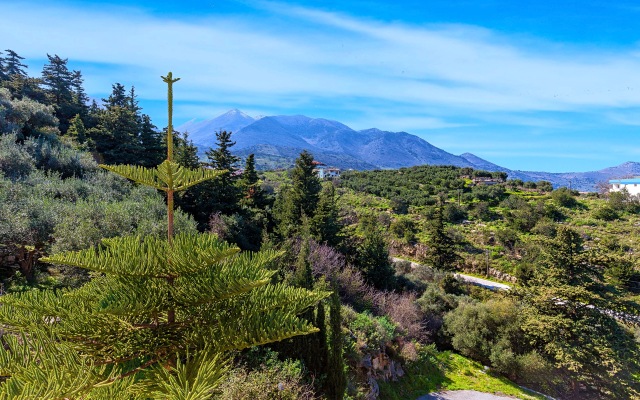 Cretan Sunny Villa Heated Pool