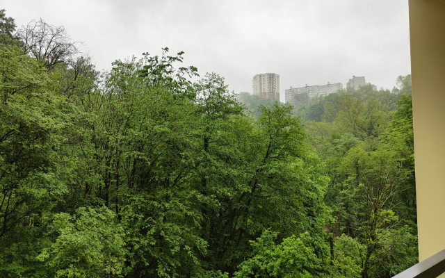 Квартира В окружении парка