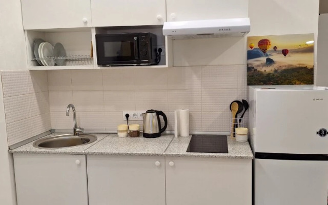 U Aeroporta Tolmachevo 4 Apartments