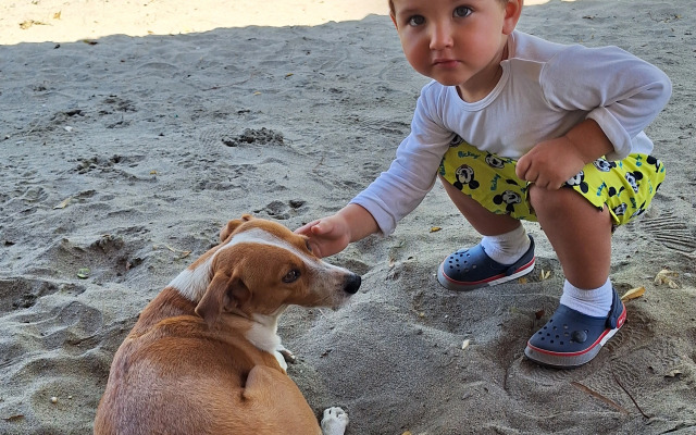 Ночлег и завтрак (B&B) Chevere Beach Hotel Frente Al Mar