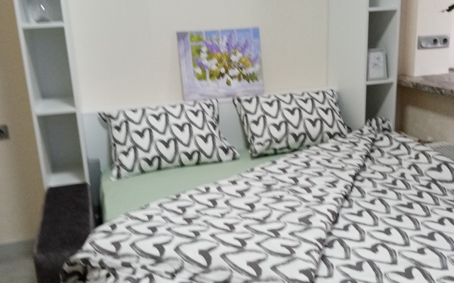 Апартаменты Птицы на Автозаводской