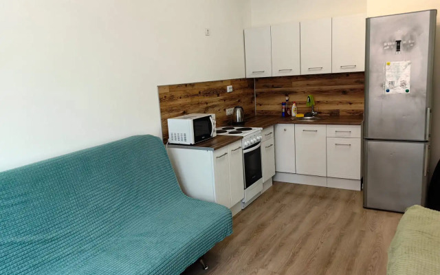 Odnushka Skandinavskiy Stil Flat