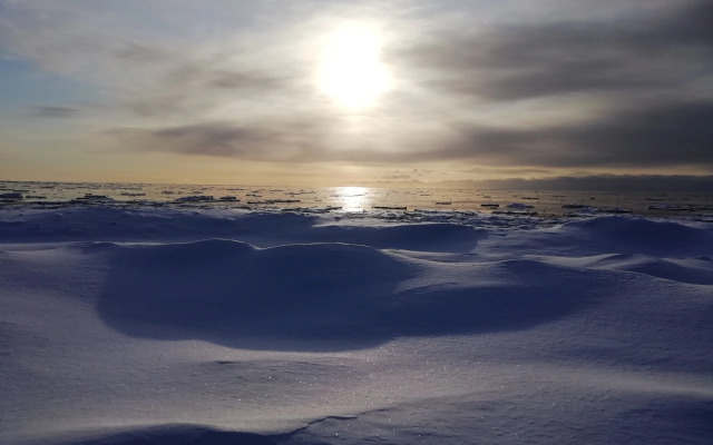 Гостевой дом с сауной вблизи реки и озера Ладоги Лисий берег