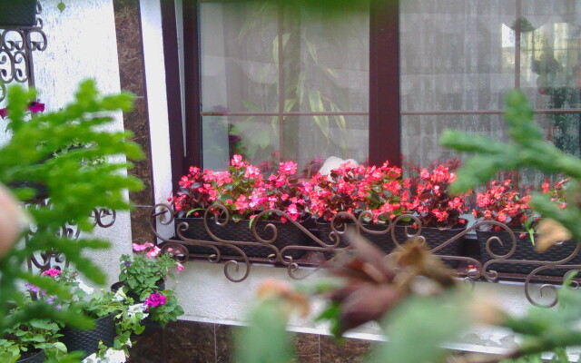 Guberniya mini-hotel